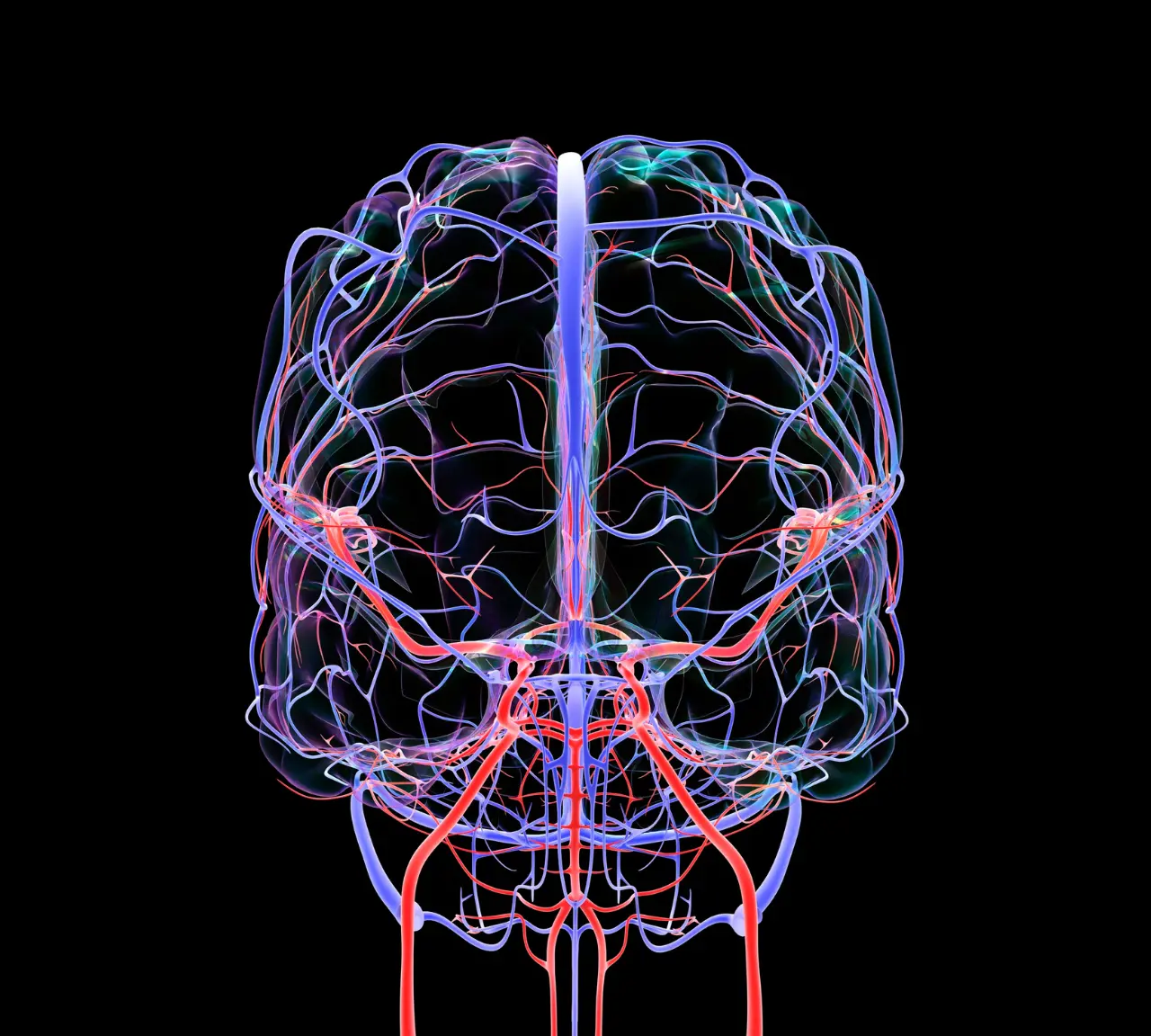 Neurovascular Conditions